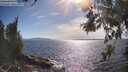 ./images/koeye/fitz-hugh/20260527/fitz-hugh20260527_171501M.jpg