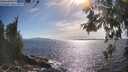 ./images/koeye/fitz-hugh/20260527/fitz-hugh20260527_172002M.jpg
