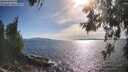 ./images/koeye/fitz-hugh/20260527/fitz-hugh20260527_174001M.jpg