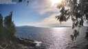 ./images/koeye/fitz-hugh/20260527/fitz-hugh20260527_174501M.jpg