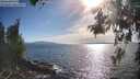 ./images/koeye/fitz-hugh/20260527/fitz-hugh20260527_175501M.jpg