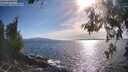 ./images/koeye/fitz-hugh/20260527/fitz-hugh20260527_180001M.jpg