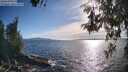./images/koeye/fitz-hugh/20260527/fitz-hugh20260527_181501M.jpg