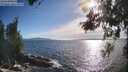 ./images/koeye/fitz-hugh/20260527/fitz-hugh20260527_182001M.jpg