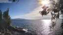 ./images/koeye/fitz-hugh/20260527/fitz-hugh20260527_182502M.jpg