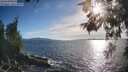 ./images/koeye/fitz-hugh/20260527/fitz-hugh20260527_184002M.jpg