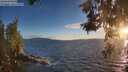 ./images/koeye/fitz-hugh/20260527/fitz-hugh20260527_204501M.jpg