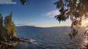./images/koeye/fitz-hugh/20260527/fitz-hugh20260527_205001M.jpg