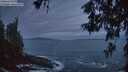 ./images/koeye/fitz-hugh/20260528/fitz-hugh20260528_044501M.jpg