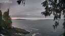 ./images/koeye/fitz-hugh/20260528/fitz-hugh20260528_053001M.jpg