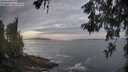./images/koeye/fitz-hugh/20260528/fitz-hugh20260528_055501M.jpg