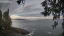 ./images/koeye/fitz-hugh/20260528/fitz-hugh20260528_060001M.jpg
