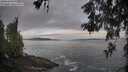 ./images/koeye/fitz-hugh/20260528/fitz-hugh20260528_063001M.jpg