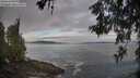 ./images/koeye/fitz-hugh/20260528/fitz-hugh20260528_063501M.jpg