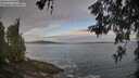 ./images/koeye/fitz-hugh/20260528/fitz-hugh20260528_064501M.jpg