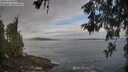 ./images/koeye/fitz-hugh/20260528/fitz-hugh20260528_065001M.jpg