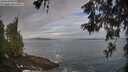 ./images/koeye/fitz-hugh/20260528/fitz-hugh20260528_065501M.jpg