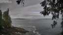./images/koeye/fitz-hugh/20260528/fitz-hugh20260528_071002M.jpg