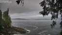 ./images/koeye/fitz-hugh/20260528/fitz-hugh20260528_072001M.jpg