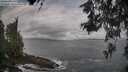./images/koeye/fitz-hugh/20260528/fitz-hugh20260528_074502M.jpg