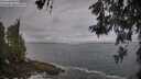 ./images/koeye/fitz-hugh/20260528/fitz-hugh20260528_075502M.jpg