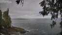 ./images/koeye/fitz-hugh/20260528/fitz-hugh20260528_080002M.jpg
