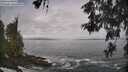 ./images/koeye/fitz-hugh/20260528/fitz-hugh20260528_082001M.jpg