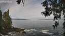 ./images/koeye/fitz-hugh/20260528/fitz-hugh20260528_090501M.jpg