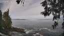 ./images/koeye/fitz-hugh/20260528/fitz-hugh20260528_091502M.jpg