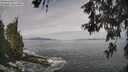 ./images/koeye/fitz-hugh/20260528/fitz-hugh20260528_100001M.jpg