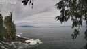 ./images/koeye/fitz-hugh/20260528/fitz-hugh20260528_103002M.jpg