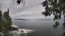 ./images/koeye/fitz-hugh/20260528/fitz-hugh20260528_103501M.jpg