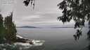./images/koeye/fitz-hugh/20260528/fitz-hugh20260528_105501M.jpg