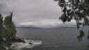 ./images/koeye/fitz-hugh/20260528/fitz-hugh20260528_114001M.jpg