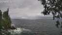 ./images/koeye/fitz-hugh/20260528/fitz-hugh20260528_115002M.jpg