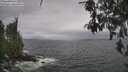 ./images/koeye/fitz-hugh/20260528/fitz-hugh20260528_115501M.jpg