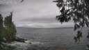 ./images/koeye/fitz-hugh/20260528/fitz-hugh20260528_120502M.jpg