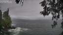 ./images/koeye/fitz-hugh/20260528/fitz-hugh20260528_124001M.jpg
