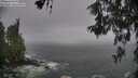 ./images/koeye/fitz-hugh/20260528/fitz-hugh20260528_130501M.jpg