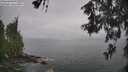 ./images/koeye/fitz-hugh/20260528/fitz-hugh20260528_140001M.jpg