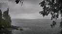 ./images/koeye/fitz-hugh/20260528/fitz-hugh20260528_141502M.jpg