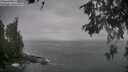 ./images/koeye/fitz-hugh/20260528/fitz-hugh20260528_142001M.jpg