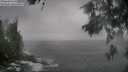 ./images/koeye/fitz-hugh/20260528/fitz-hugh20260528_142501M.jpg