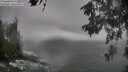 ./images/koeye/fitz-hugh/20260528/fitz-hugh20260528_143501M.jpg