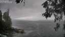 ./images/koeye/fitz-hugh/20260528/fitz-hugh20260528_151501M.jpg