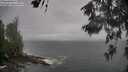 ./images/koeye/fitz-hugh/20260528/fitz-hugh20260528_153001M.jpg