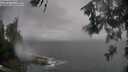 ./images/koeye/fitz-hugh/20260528/fitz-hugh20260528_154001M.jpg