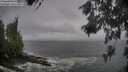 ./images/koeye/fitz-hugh/20260528/fitz-hugh20260528_163502M.jpg