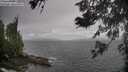 ./images/koeye/fitz-hugh/20260528/fitz-hugh20260528_172001M.jpg