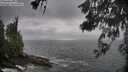 ./images/koeye/fitz-hugh/20260528/fitz-hugh20260528_174501M.jpg